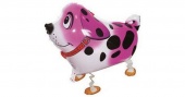 Шар 24"/61см Ходячая фигура Собака далматин розовый R150Р