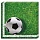 Салфетка футбол зеленый 33 см 20шт/Р 1502-2023